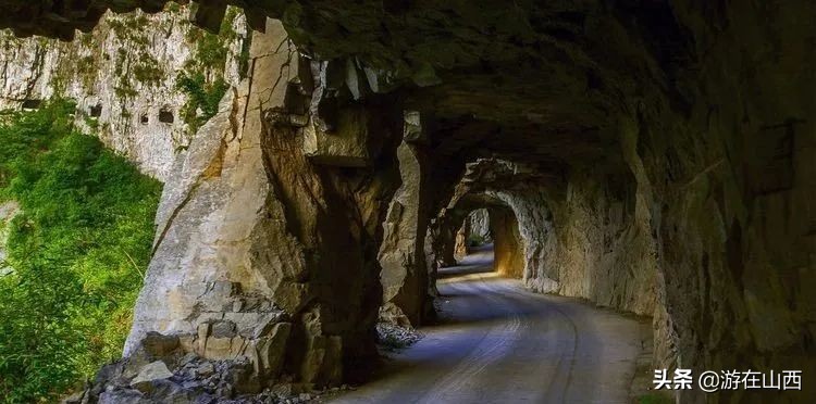 王莽岭景区春节免费游玩攻略,王莽岭五一旅游