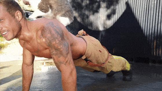 谁说*男猛**和萌猫必须二选一？这次我全都要