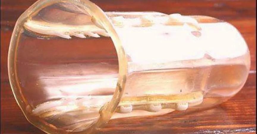 她设计了款防狼安全套获好评，然而十多年了，依然筹不到钱生产