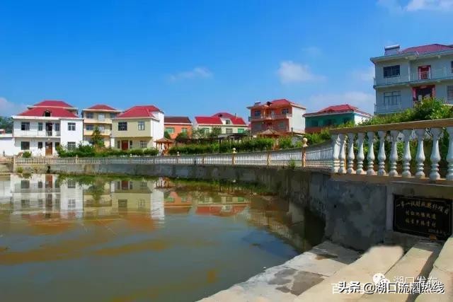 湖口这个乡美出了名,湖口美丽田园