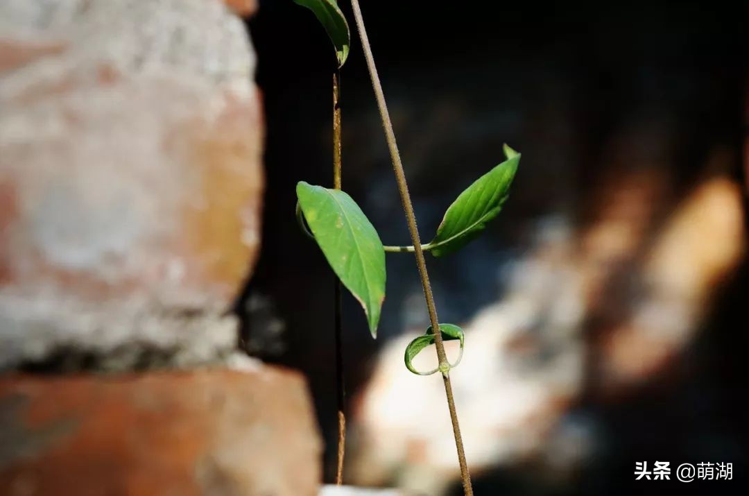 10年红专厂│广州文艺青年的圣地，在一步步远去