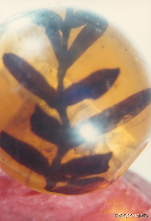 关于琥珀形成的资料,琥珀的种类及介绍