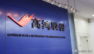 烽火大唐中国信科集团,中国信科大唐电信产业集团