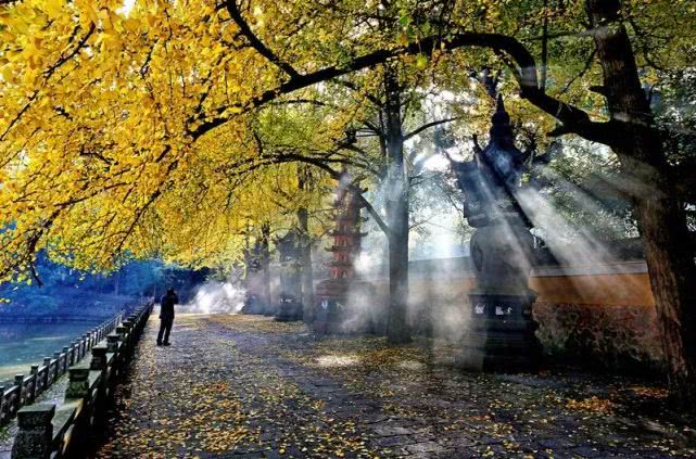 五朵山旅游景区未来规划,天童风景区规划