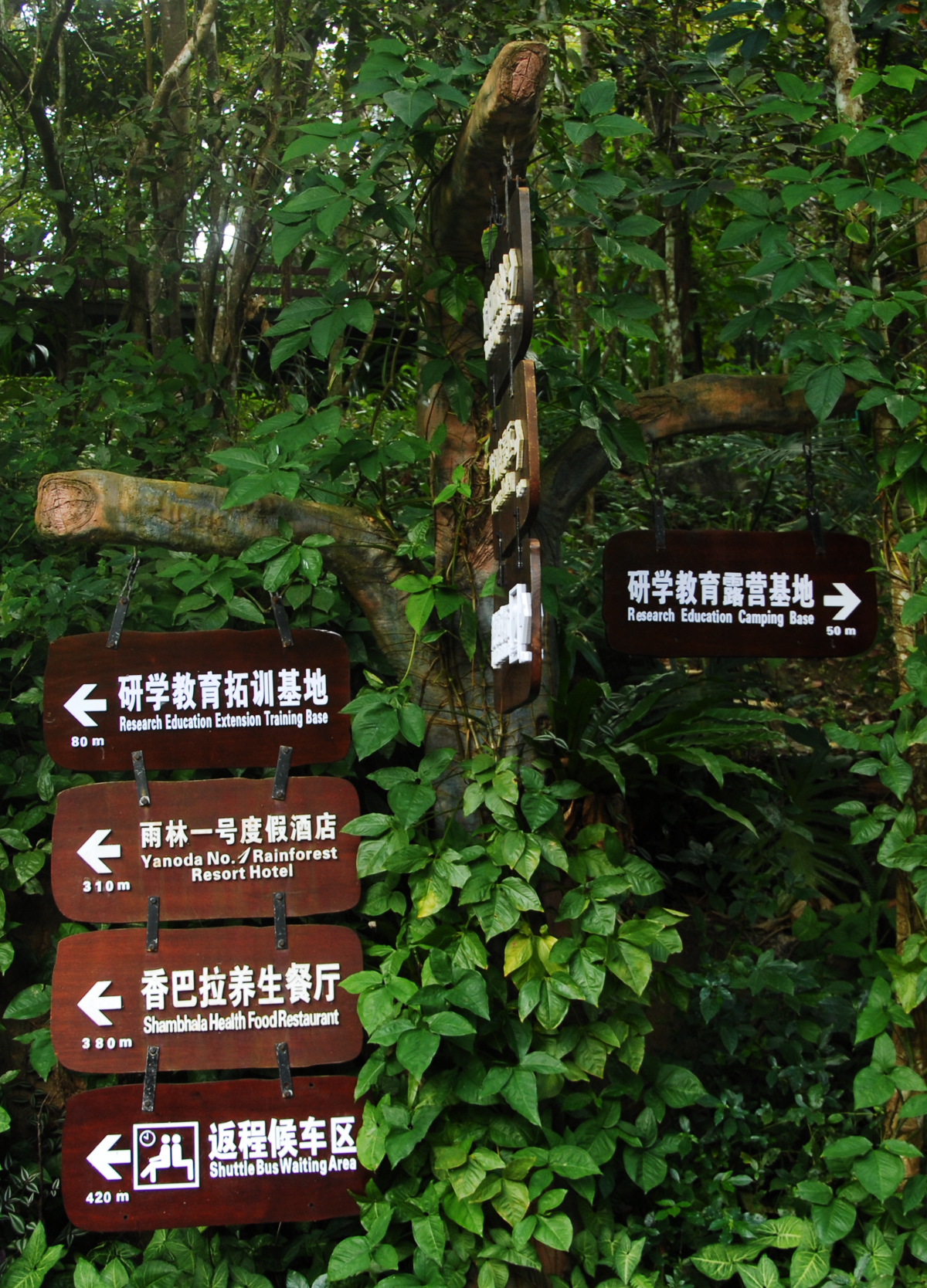 三亚三日游攻略必去景点,三亚除了呀诺达还有什么值得玩