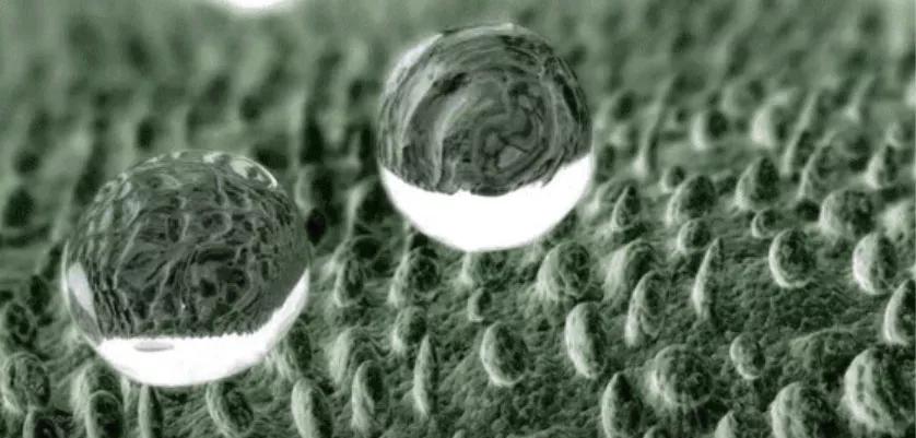 网红瘦腿打底裤测评,网红塑形瘦腿裤