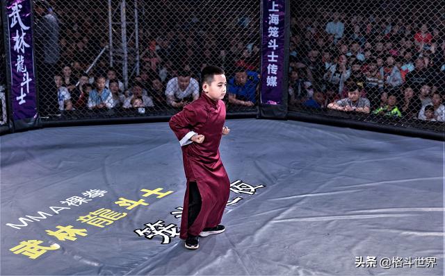 武林龙斗士正片,武林龙斗士争霸赛