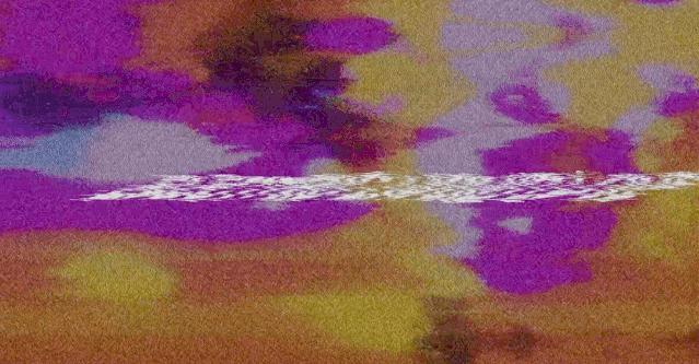 顾佳的限量款爱马仕包包多少钱,顾佳买爱马仕包包