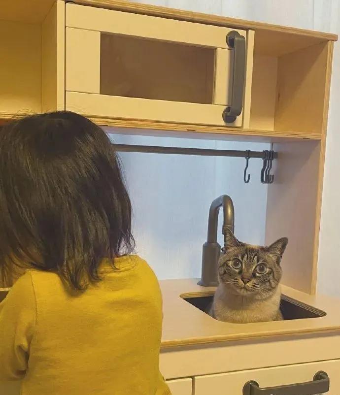 瀛︽牎涓轰簡鐪侀挶闄よ崏,瀛︽牎涓轰簡闄よ崏涓嶈姳閽卞吇浜嗕袱鍙緤