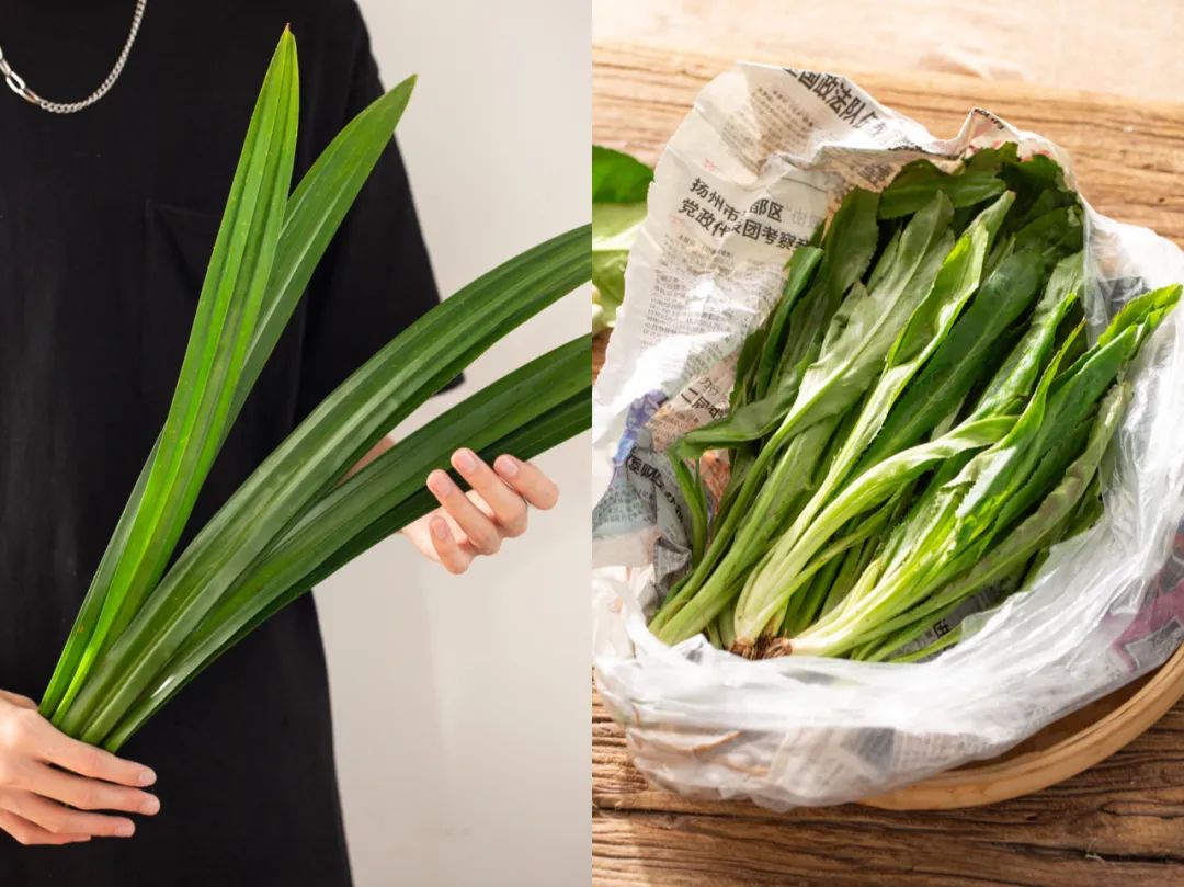 好逛的淘宝店,逛起来会上瘾的宝藏小众超市4家