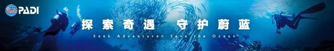 甘肃潜水教练,潜水教练平时的工作