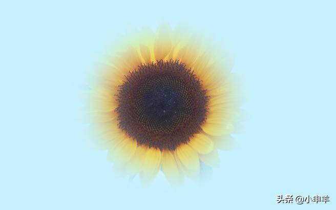 ps抠图删减选区,ps抠图修改边缘