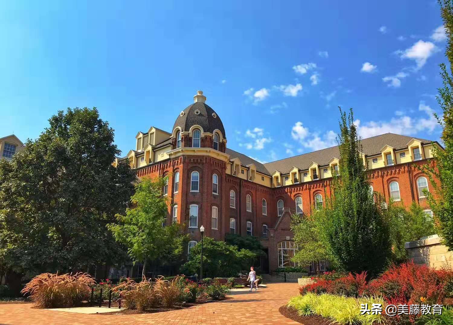 美国大学官网怎么看录取条件,美国大学录取标准