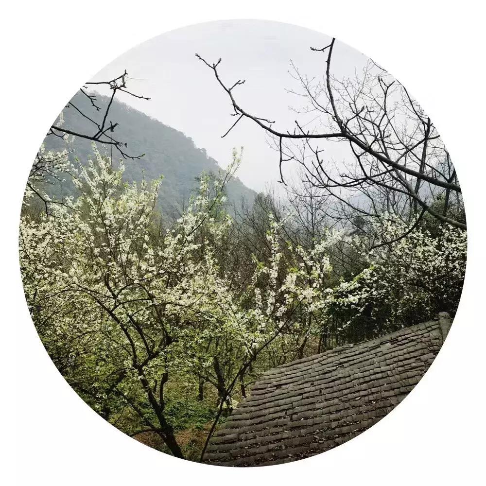 晓枝滴甘露味落寒泉中是什么意思,系辞朗读版