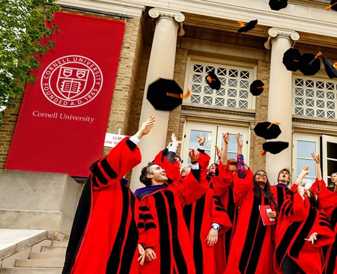 美国藤校前十大排名榜,美国八大藤校2026届录取数据公布