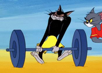 二十年后的汤姆猫,许多年后汤姆猫