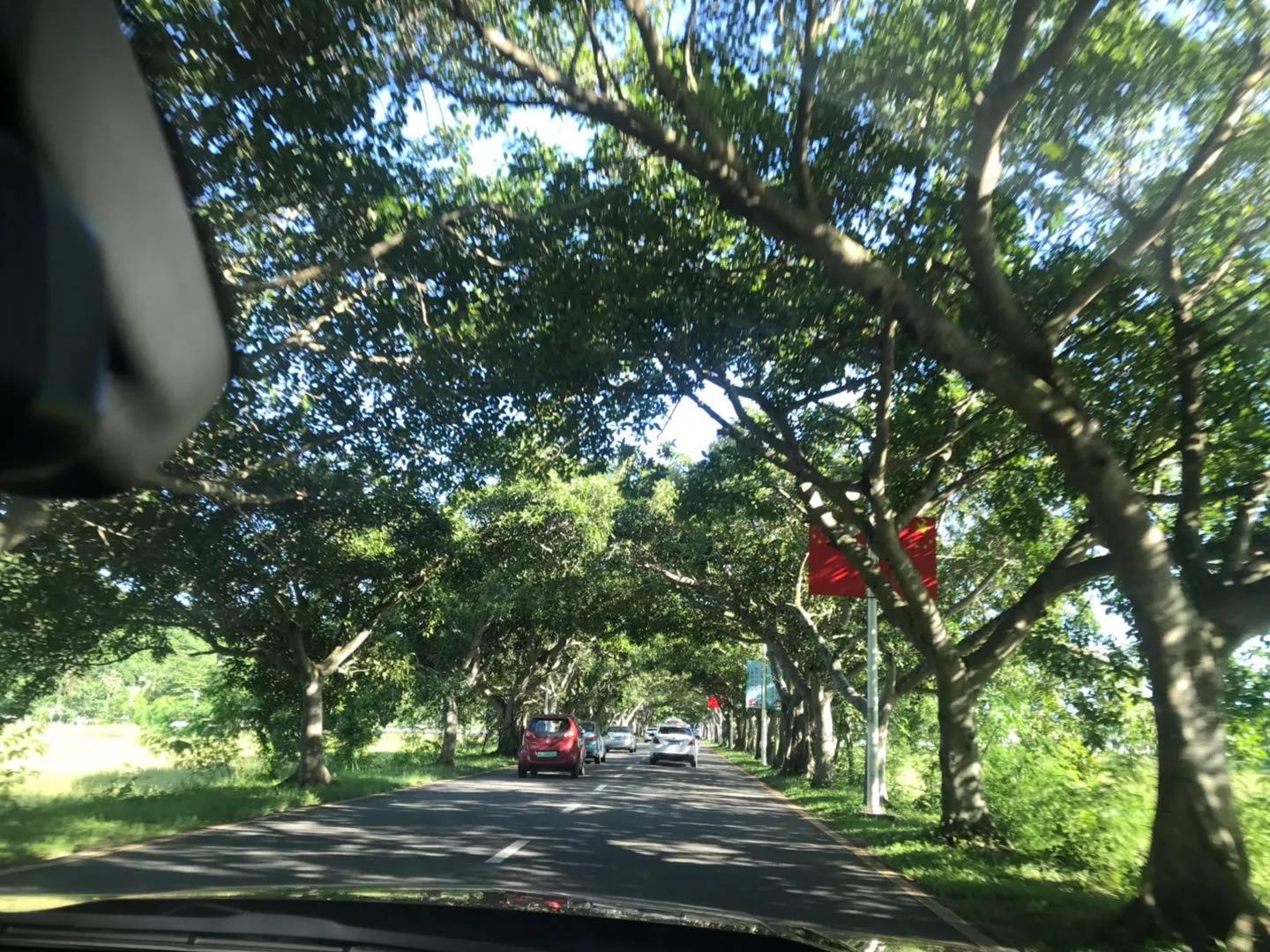 厦门出发海南七日游攻略,厦门自驾游去海南旅游攻略