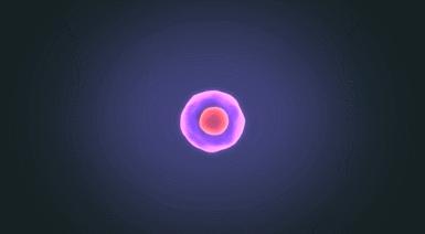 干细胞护肤是骗局揭秘,干细胞美容是伪科学吗