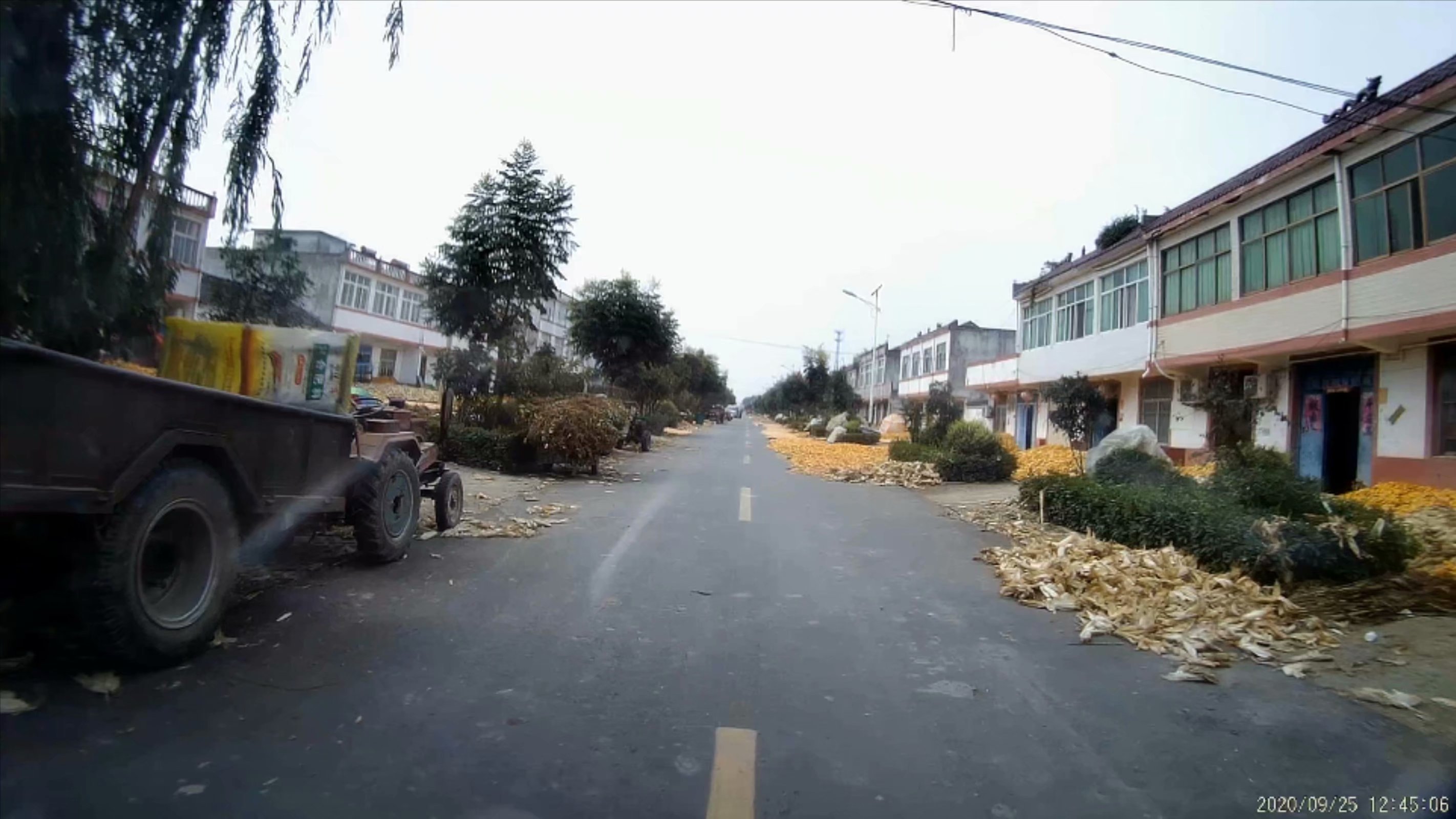 俞伯牙墓为什么在固镇,俞伯牙墓出土