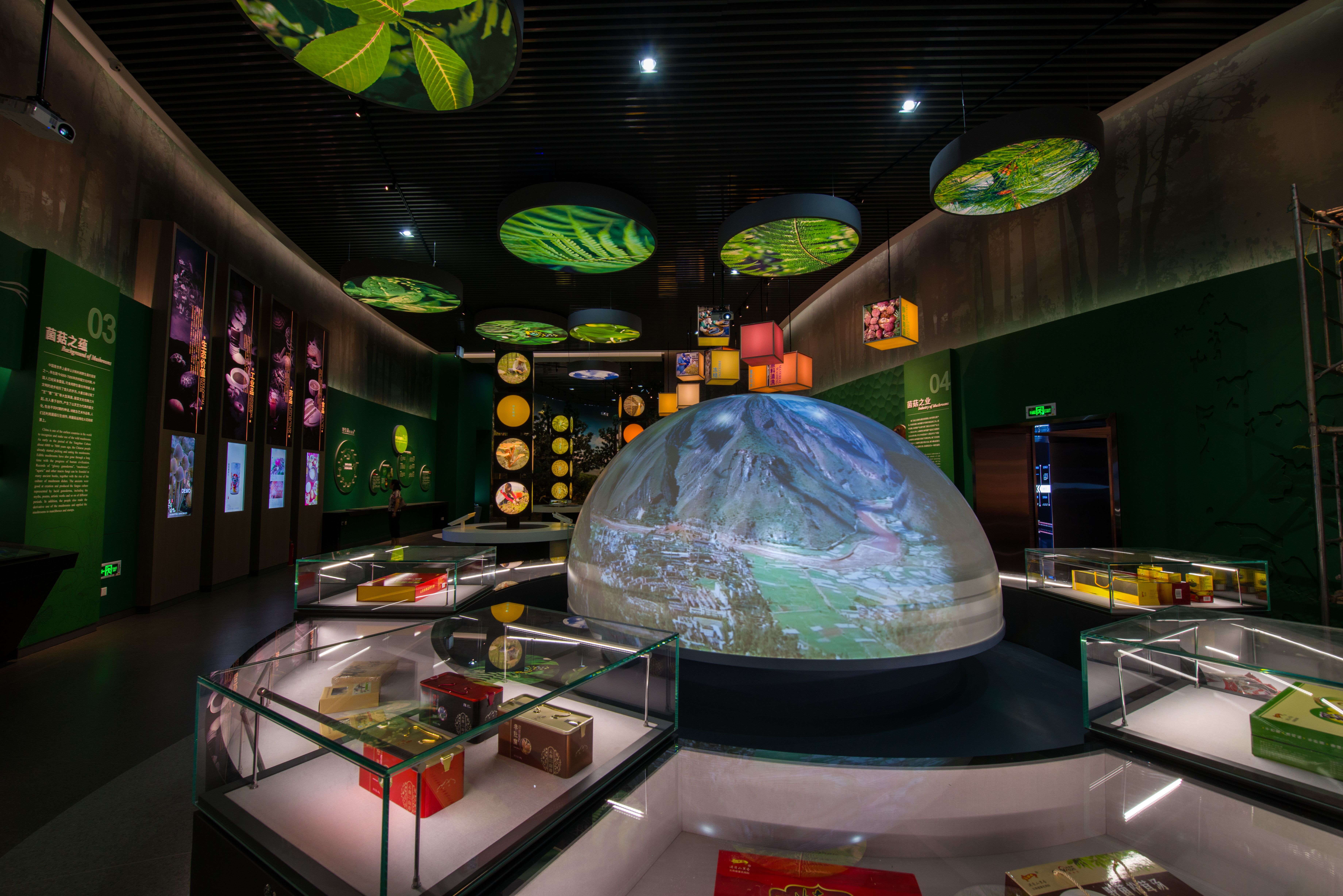 易门县食用菌产业发展,易门县食用菌产业发展得怎么样