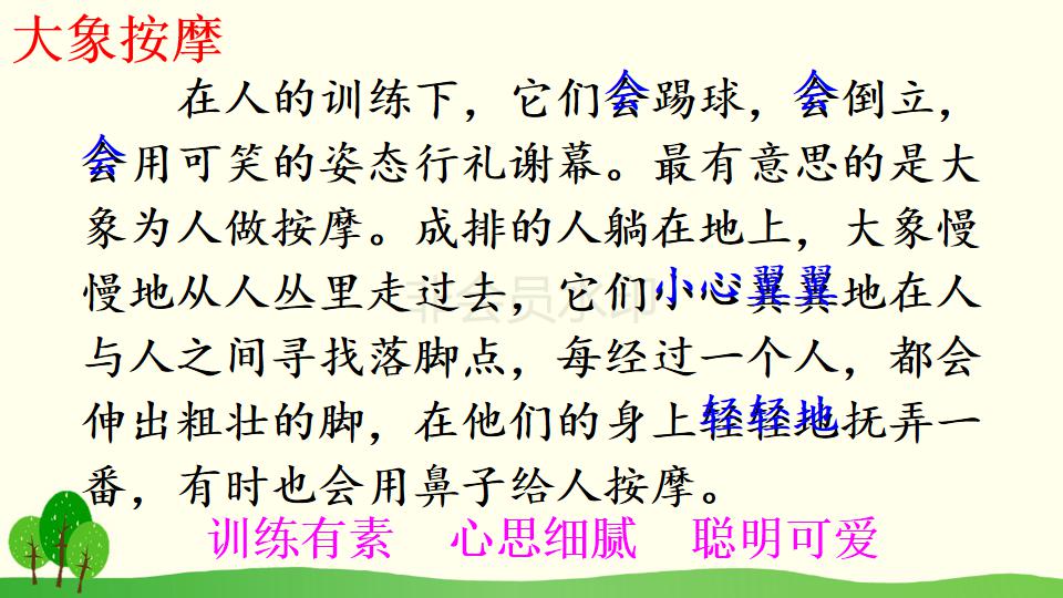 五年级下册与象共舞的作者是谁,与象共舞语文五年级下册老版