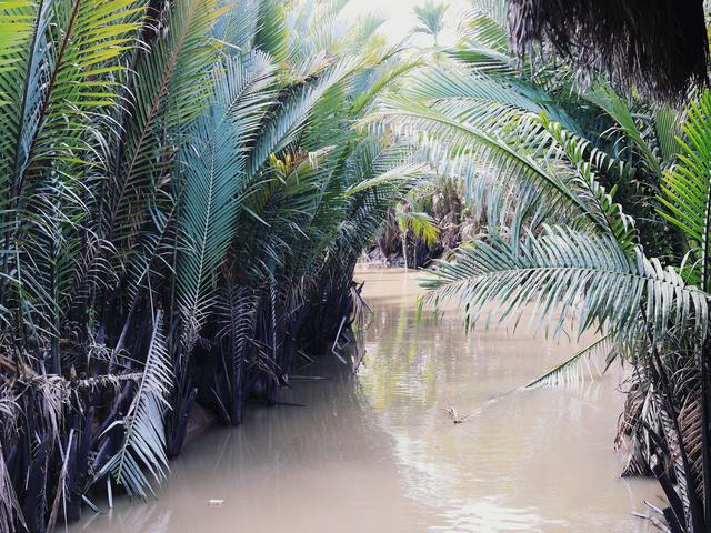 越南的美食美景,越南的美食和美景