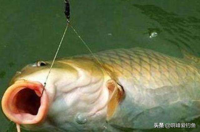 橡皮船钓鱼如何配置钓具视频,钓鱼技巧钓鱼装备渔具选择