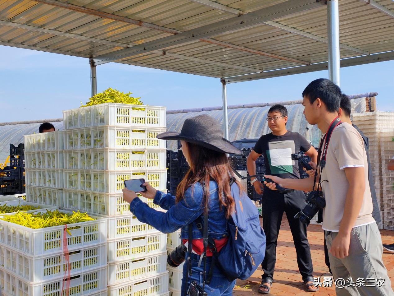 风物中华大好河山,滩羊之乡风物盐池