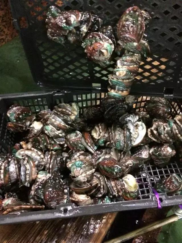 渤海当季海鲜推荐,中国渤海海鲜