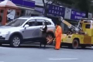 大叔刷百万礼物,大叔刷100万见网红