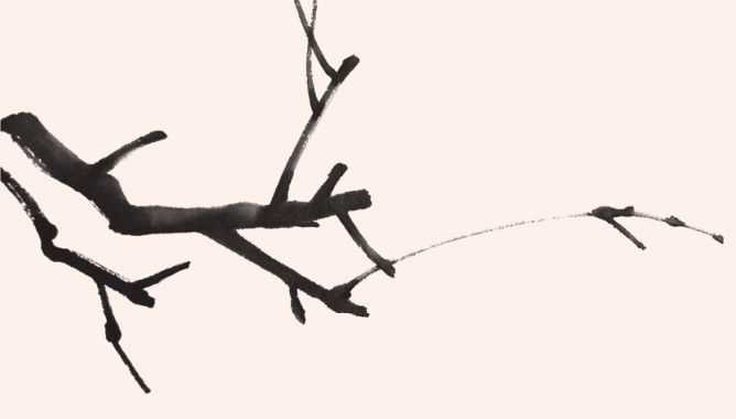 国画教程零基础入门树的画法,国画花卉线稿教程大全