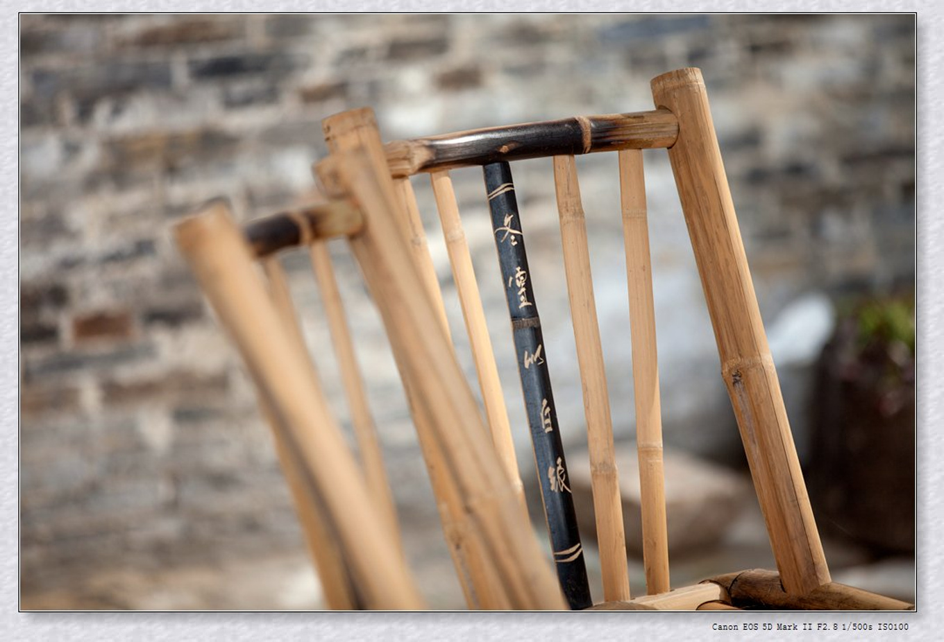 常州旅游东方盐湖城,骆驼之旅视频