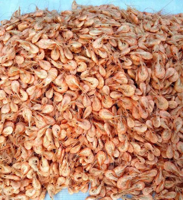 开海什么海鲜最好,开海季肥美海鲜