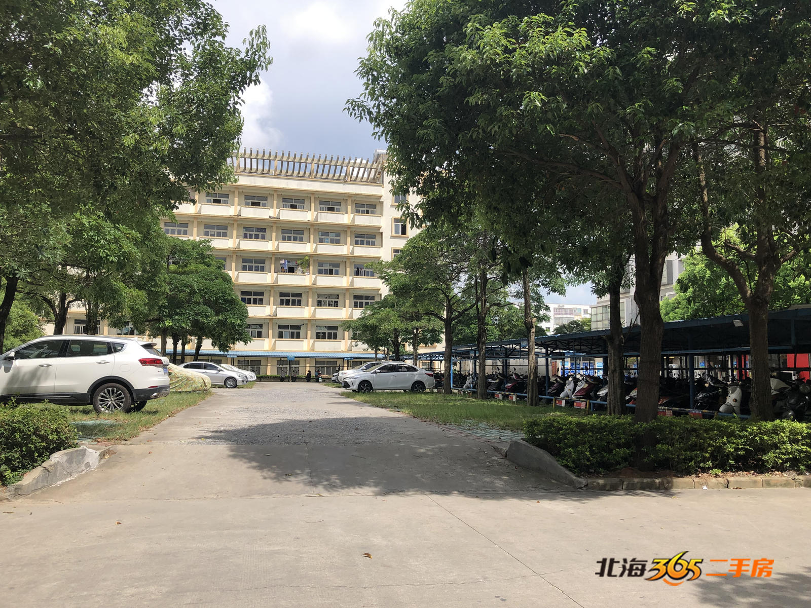 北海嘉逸花园有肺炎病例,北海市嘉逸花园最新消息