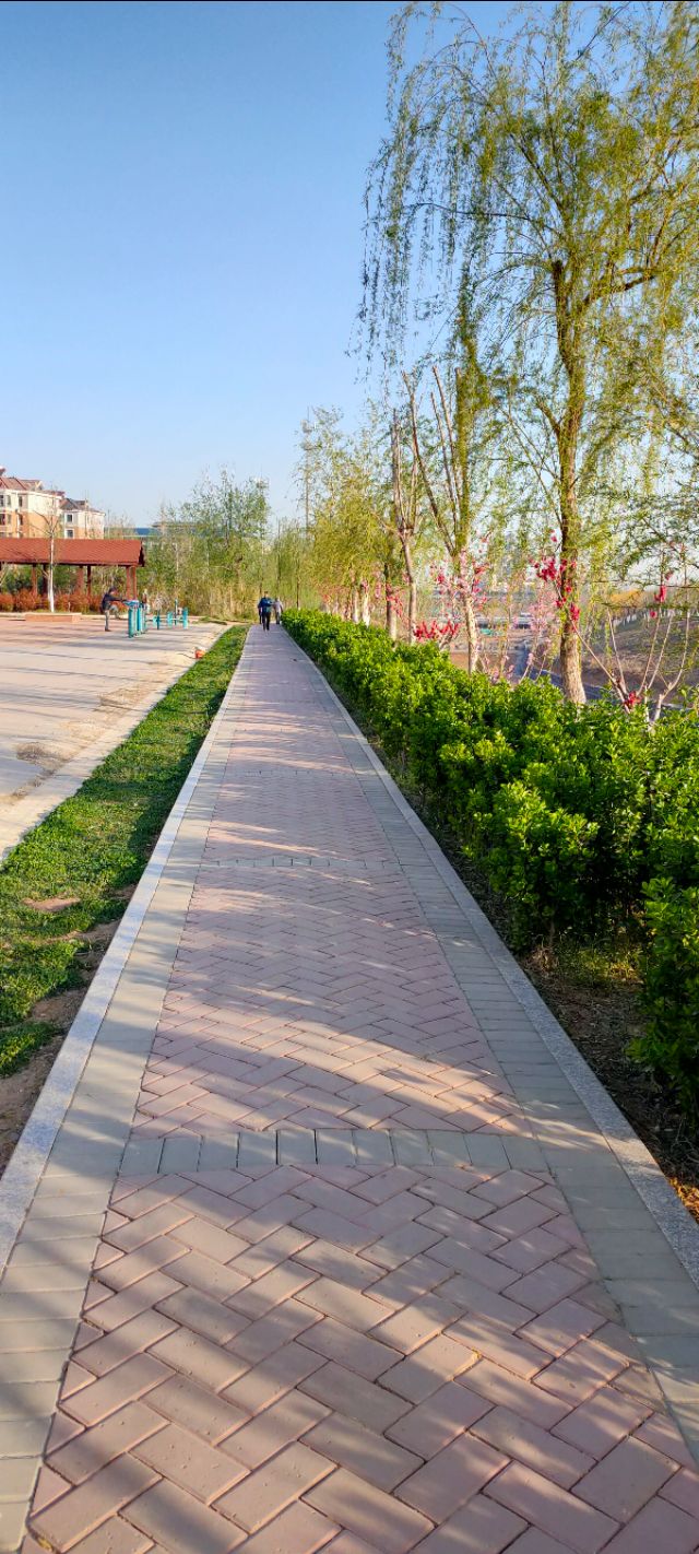 鲍山花园可以游玩的地方,鲍山公园跑步