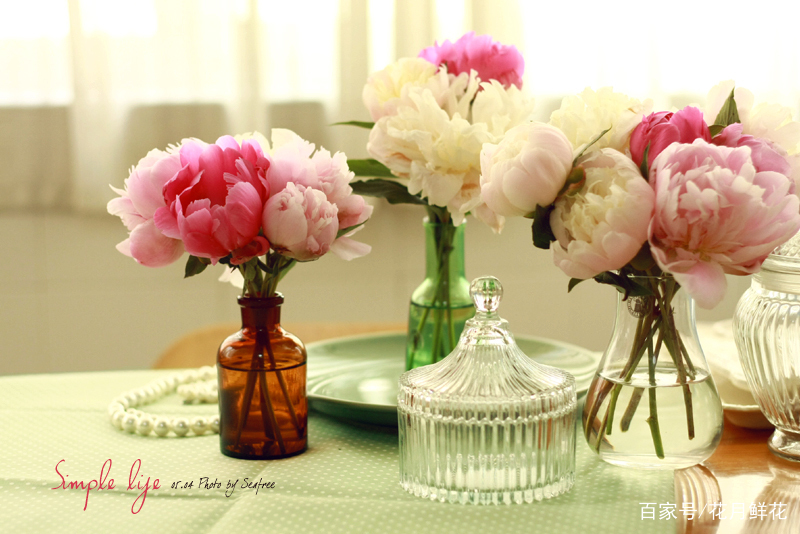 送长辈的鲜花花语,浪漫花语鲜花婚庆