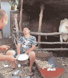 盘点让人哭笑不得的搞笑瞬间,吃瓜搞笑瞬间