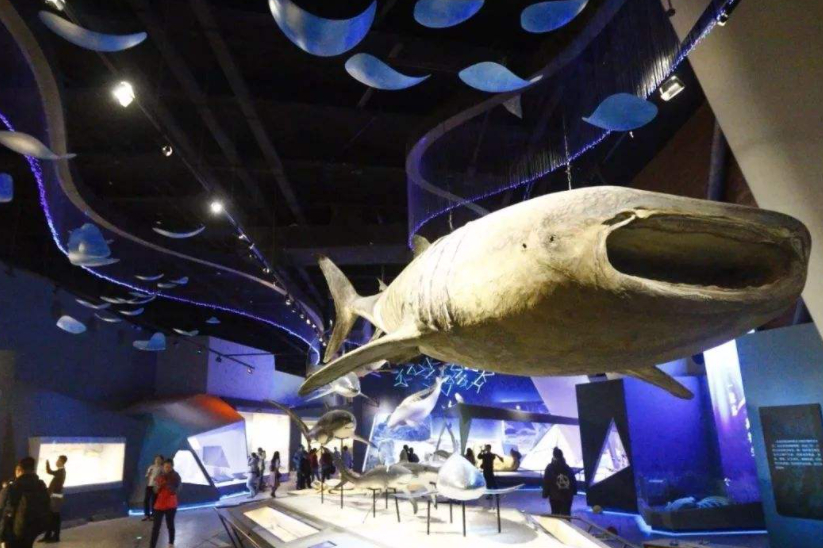 继天塔后，天津又走红一地标，被称为“海洋上的故宫”，门票0元