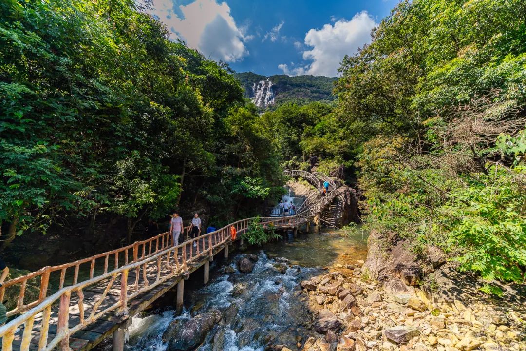 华侨城文化旅游节欢乐新生态,华侨城旅游节火热启幕