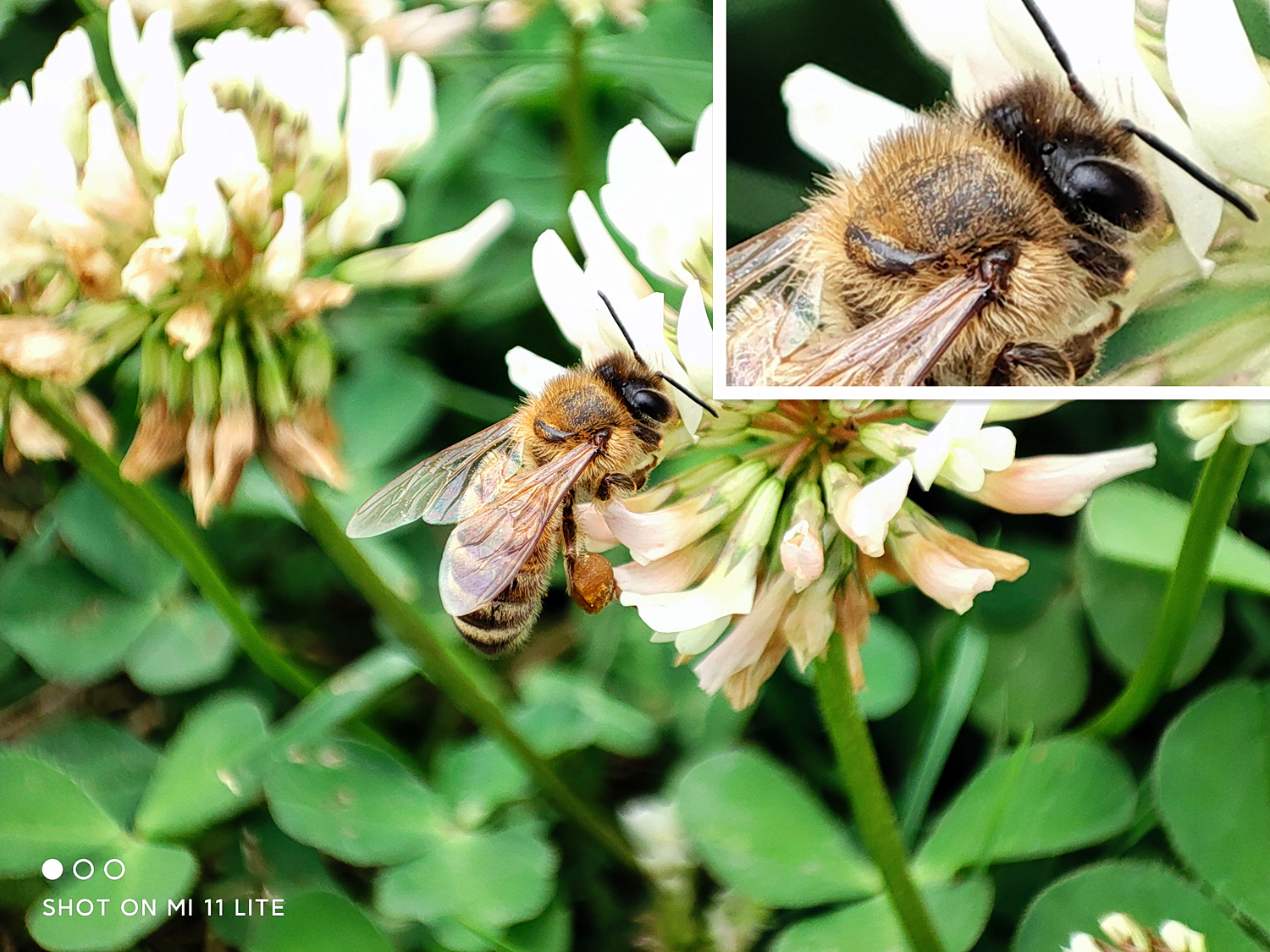 小米11青春版值得入手吗现在,小米11青春版目前还值得买吗