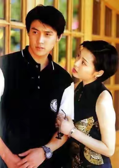 陆毅王炸电视剧百科,王炸电视剧陆毅