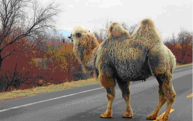 于月仙车祸去世明星悼念,于月仙因车祸去世一周年