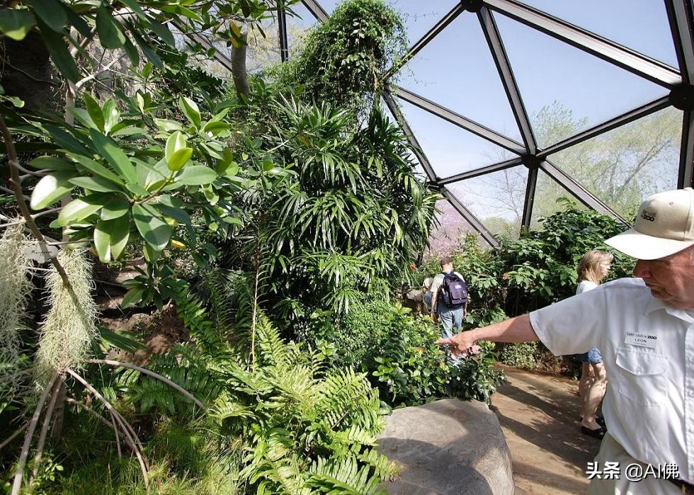 美国西部旅游必去景点推荐,美国东部值得去的景点排名