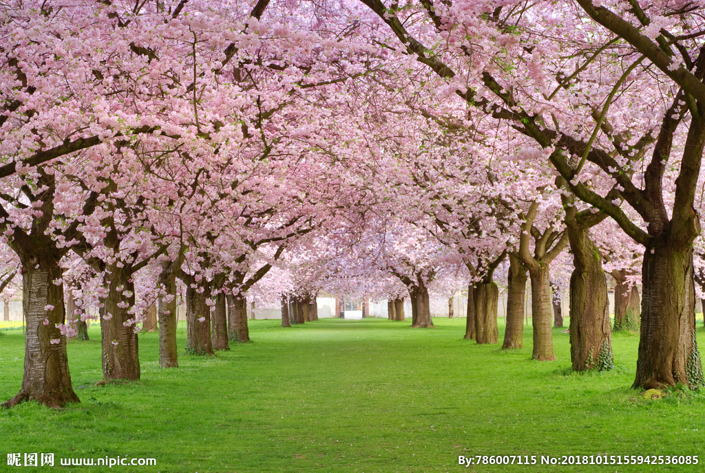 儿童行业内幕大揭秘,揭露儿童玩具行业内幕