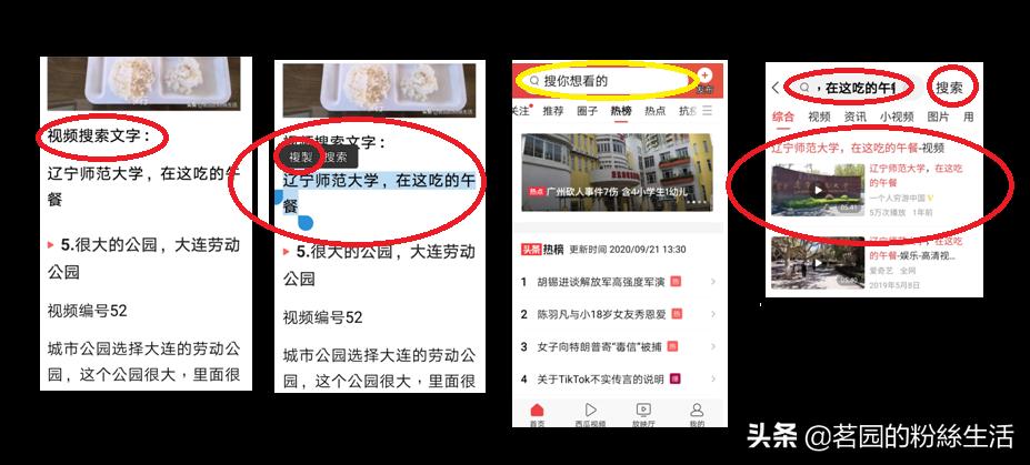 沈阳怪坡虎园,沈阳怪坡