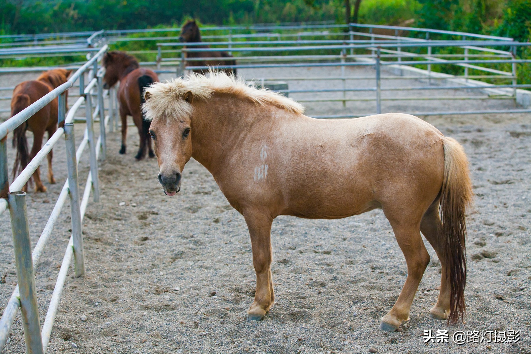 广西最适合养老的4个优美小城,广西适合养老的小城
