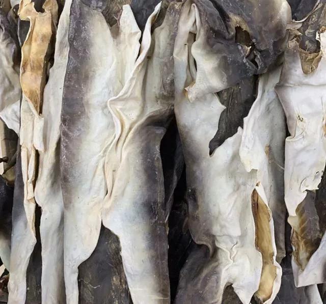 干货海产品视频,海产品干货的种类大全