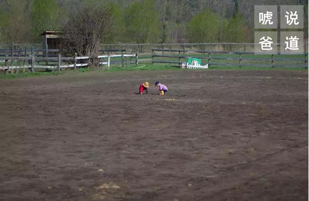 我在农村当老师,农村女孩当幼师