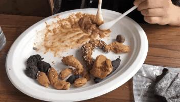 一张图学会判断猫咪拉稀严重程度,一张图学会判断猫咪呕吐