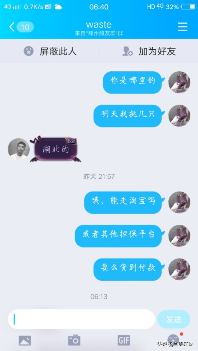 养鸽子是不是骗局,养鸽人买来的教训